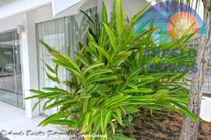 Sobrado para venda no Condóminio Bougainvillée em Peruibe