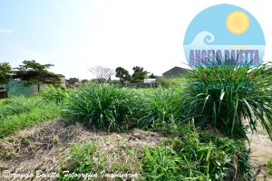 Terreno á venda no bairro Belmira Novaes em Peruíbe
