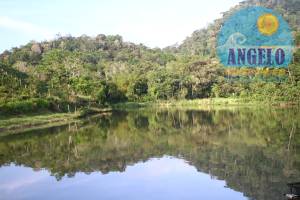 Sitio com 10 alqueres em Itarirí, oportunidade