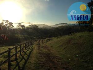 Sitio com 10 alqueres em Itarirí, oportunidade