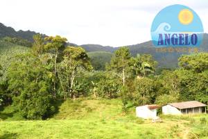 Sitio com 10 alqueres em Itarirí, oportunidade