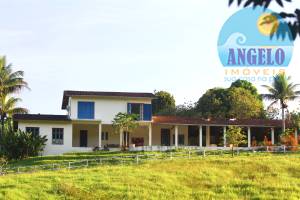 Sitio com 10 alqueres em Itarirí, oportunidade